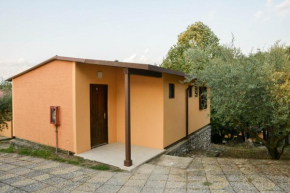 Village of Peace - House 34